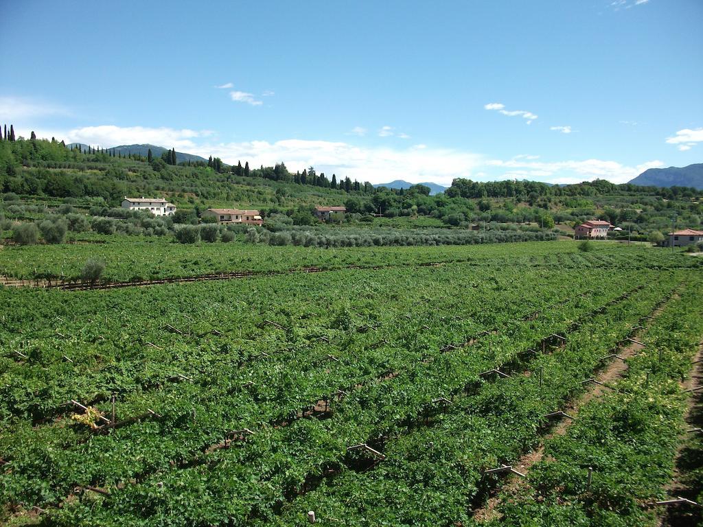 Agriturismo La Rocca Bardolino Buitenkant foto