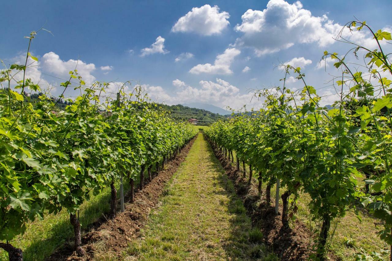 Agriturismo La Rocca Bardolino Buitenkant foto